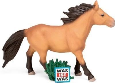 Tonies Was Ist Was Wunderbare Pferde/Reitervolk Mongolen 3 Tonies Was Ist Was Wunderbare Pferde/Reitervolk Mongolen