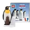 Tonies Was Ist Was - Pinguine / Tiere Im Zoo, Spielfigur 1 Tonies Was Ist Was - Pinguine / Tiere Im Zoo, Spielfigur -Günstiges Tonies Geschäft Tonies Was ist Was Pinguine Tiere im Zoo Spielfigur@@1667595