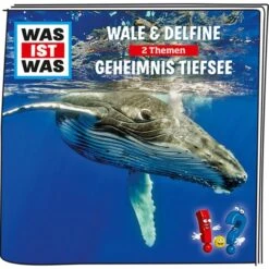 Tonies Was Ist Was - Wale & Delfine / Geheimnis Der Tiefsee, Spielfigur 8 Tonies Was Ist Was - Wale & Delfine / Geheimnis Der Tiefsee, Spielfigur -Günstiges Tonies Geschäft Tonies Was ist Was Wale Delfine Geheimnis der Tiefsee Spielfigur@@1568569 2
